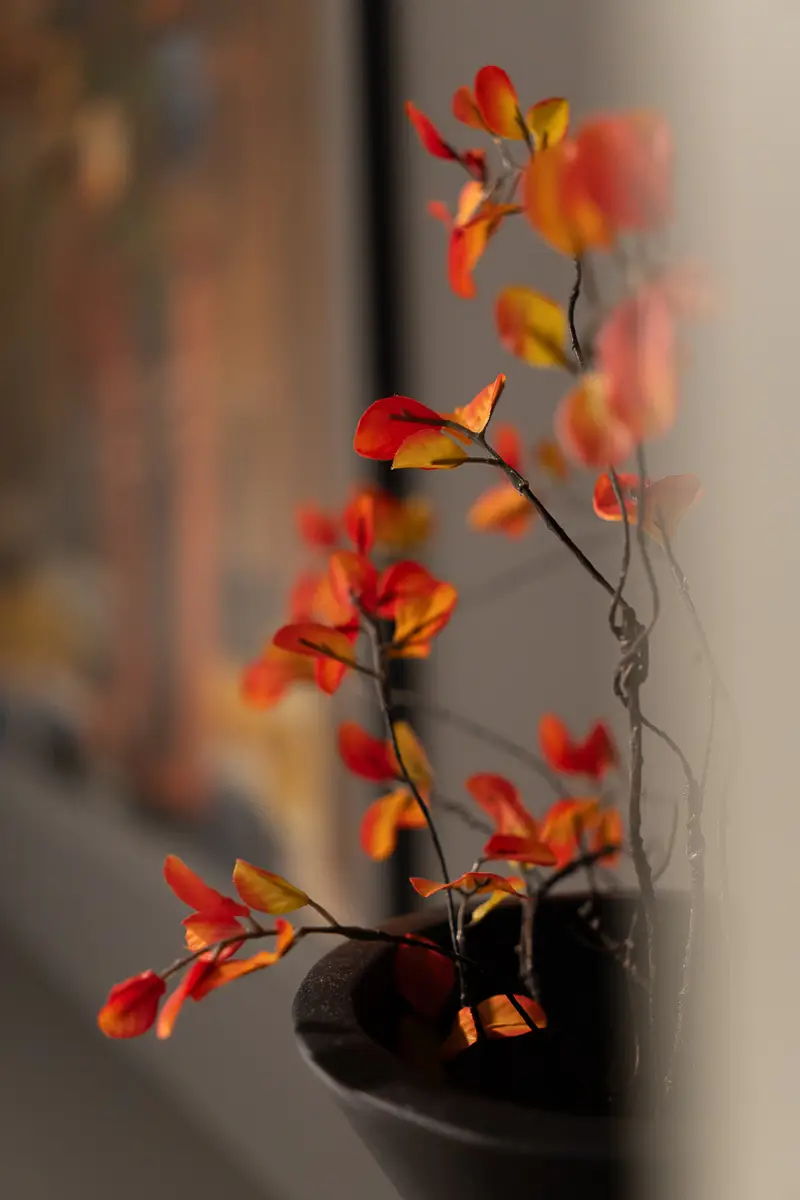 Experiential hospitality and place-driven design – connecting property, people and community