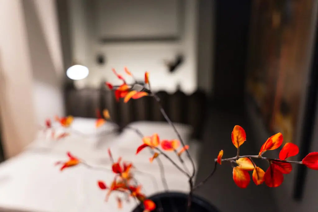 efined boutique hospitality design detail – atmosphere, color and creative intuition